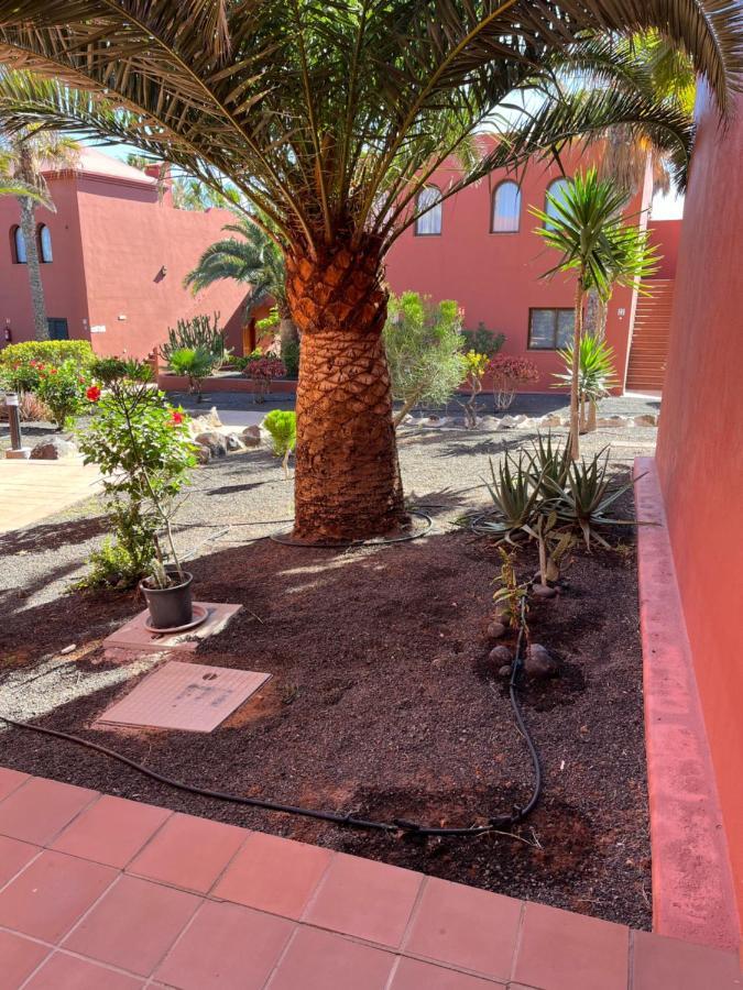 Casa Mimi Oasis Tamarindo Apartment คอร์ราเลโฮ ภายนอก รูปภาพ